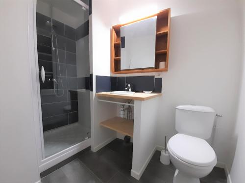 une salle de bain avec toilettes, lavabo et douche dans l'établissement Arcachon-centre belle maison 5 chambres proche des plages à pieds, à Arcachon