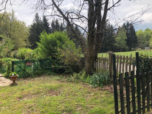 a wooden fence with a tree in a yard at Studiodupuyblanc in Saint-Paul