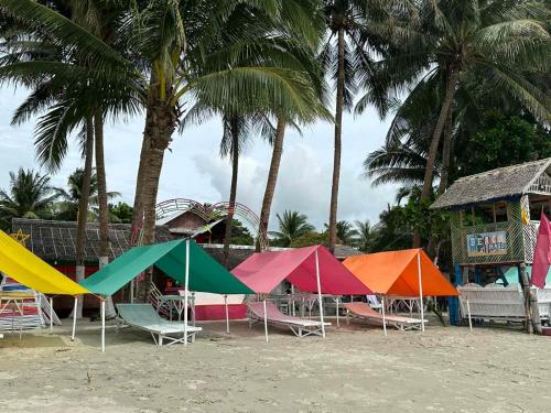 un gruppo di aquiloni colorati su una spiaggia con palme di Beachaus Resort 