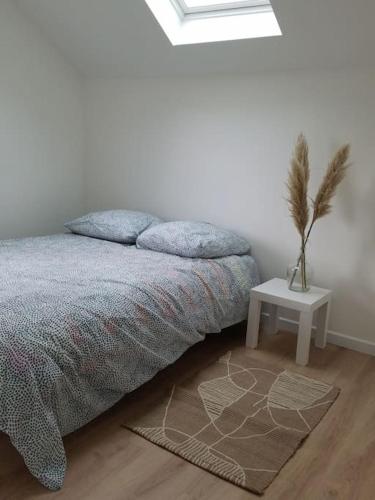 a bedroom with a bed and a table with a plant on it at Gîte le Charmot, au pied des montagnes classé 3* in Roderen