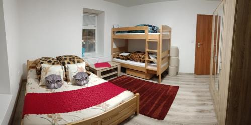 1 Schlafzimmer mit 2 Etagenbetten mit Katzen auf dem Bett in der Unterkunft Viet Sen Pension in Železná Ruda