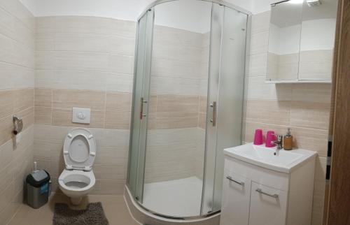 a bathroom with a shower and a toilet and a sink at Viet Sen Pension in Železná Ruda