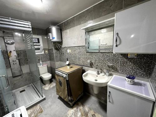 a bathroom with a sink and a toilet and a shower at Appartement à Miami - Vu sur mer in Alexandria