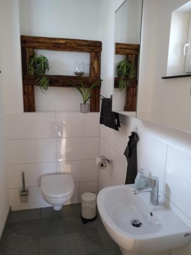 a white bathroom with a toilet and a sink at Villa Hinterland in Biedenkopf