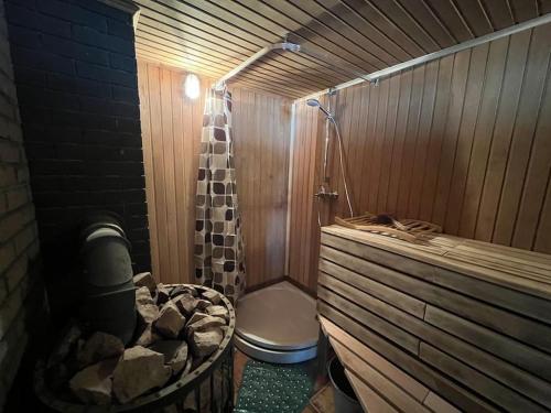 a bathroom with a shower with a toilet in it at Pirtelė Arjola in Kaltanėnai