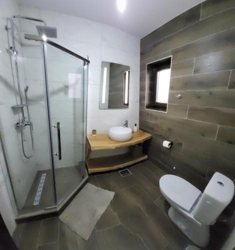 a bathroom with a shower and a toilet and a sink at PENSIUNEA CASTELANA in Racoşu de Jos