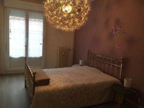 sypialnia z łóżkiem i żyrandolem w obiekcie Orchidee Rose w mieście Givet
