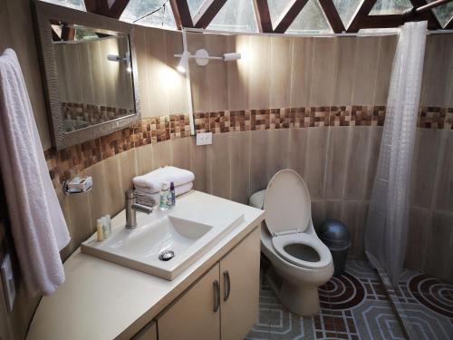 een badkamer met een wastafel, een toilet en een spiegel bij Tybyn Geo Lodge in Arcabuco