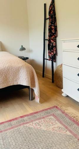 1 dormitorio con 1 cama, vestidor y alfombra en Panorama udsigt og pool en Ålsgårde