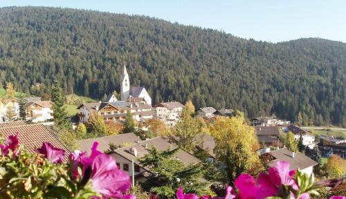 a town in the mountains with pink flowers in the foreground at Lingerhof Arnika in Meltina