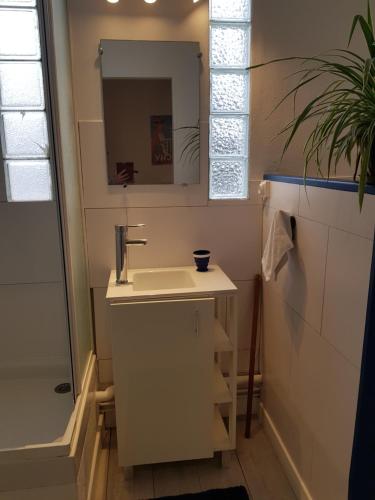 a bathroom with a sink and a mirror at La Sichonnette in Vichy