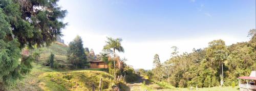 a house on the side of a hill with trees at Termales Cabaña en Santa Rosa de Cabal in Santa Rosa de Cabal
