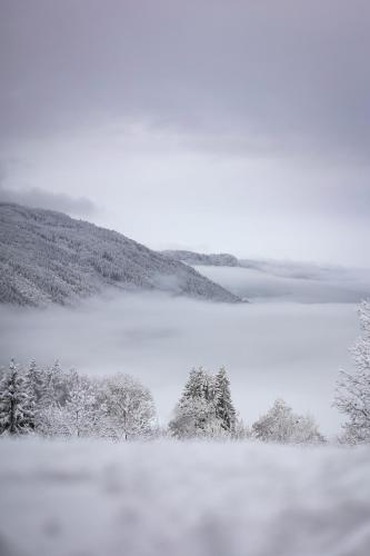 a snow covered field with trees and a mountain at Apartement Lake View in Steindorf am Ossiacher See