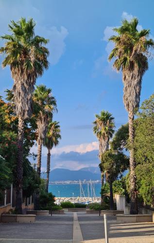 a row of palm trees on a street with the beach at Le Cosy in Saint-Aygulf