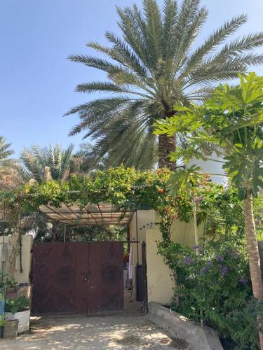 a gate with a palm tree in front of a house at Reef Alhamra in Al Ḩamrāʼ
