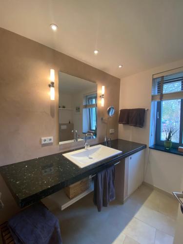 baño con lavabo y espejo grande en Casa Manfredi, en Prerow