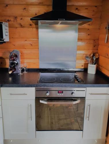 Snowdonia Escapes # TRANQUIL CABIN with Views, Wi-Fi, Dog Friendly & Parkingにあるキッチンまたは簡易キッチン