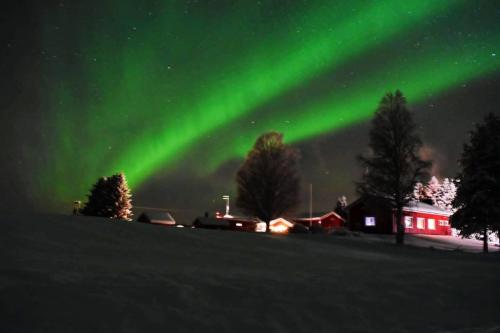 an aurora in the sky over a house with trees at Alanko Lodge in Tornio