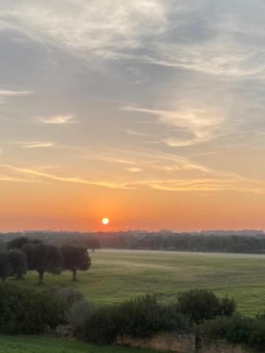 a sunset over a field with trees in a field at Le Margherite Holiday Home - Campomarino di Maruggio, zona Acquadolce Cirenaica in Maruggio