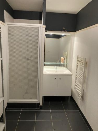 une salle de bain avec douche et lavabo dans l'établissement STUDIO BORDEAUX, à Bordeaux