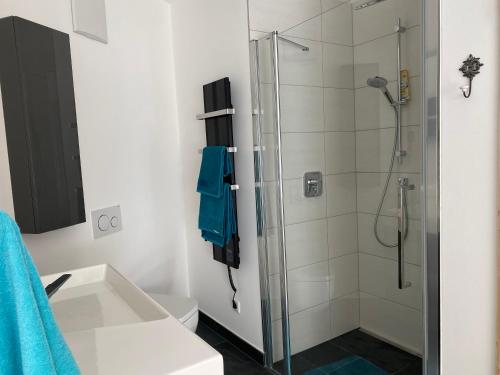 y baño con ducha con cabina de ducha de cristal. en Berglisl - direkt an der Schipiste! Neue Ferienwohnung mit Sauna, en Klippitztorl