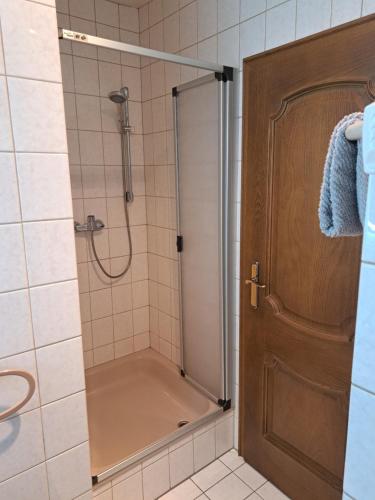 a shower with a glass door in a bathroom at Pension Birgit Pazen in Zeltingen-Rachtig