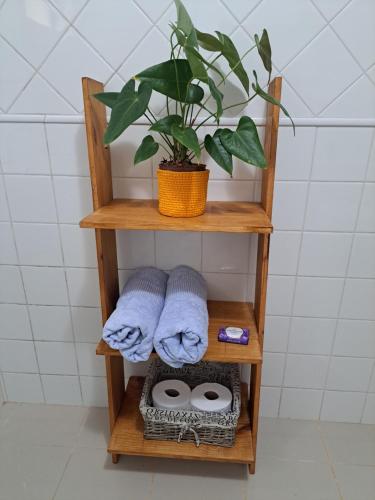 uma prateleira de madeira com toalhas e uma planta na casa de banho em Canto da Floresta em Monte Verde
