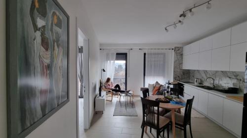 Kuchyň nebo kuchyňský kout v ubytování Serenade Apartment