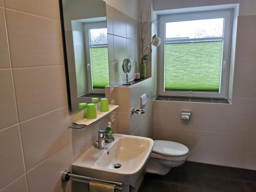 La salle de bains est pourvue d'un lavabo, de toilettes et d'un miroir. dans l'établissement FeWo Goldene Linie, à Wangerland