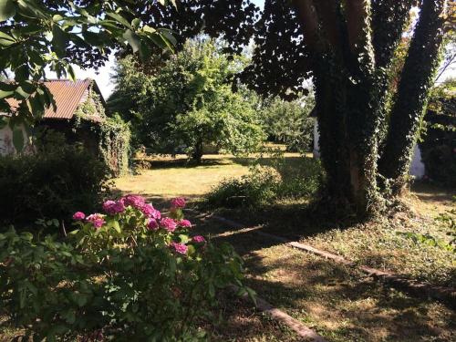 un jardin avec des fleurs roses et un arbre dans l'établissement Charmante villa normande à 1h de la mer, 1h30 de Paris, à Le Tronquay
