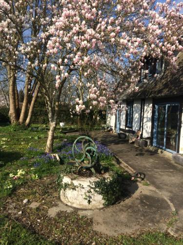 eine Parkbank unter einem Baum mit rosa Blumen in der Unterkunft Charmante villa normande à 1h de la mer, 1h30 de Paris in Le Tronquay