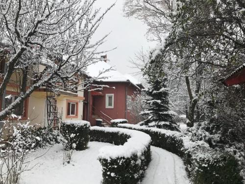 Casa Didy žiemą