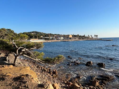 Studio 4 personnes à Saint-Mandrier-sur-Mer