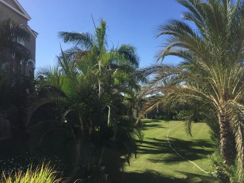 a group of palm trees on a golf course at Condo in a Private Resort setting King Maryout Alamriyah Governorate Egypt Comes with an outdoor private infinity swimming pool with a large garden Borg Alarb International Airport is 15 minutes- Families Only in Alexandria