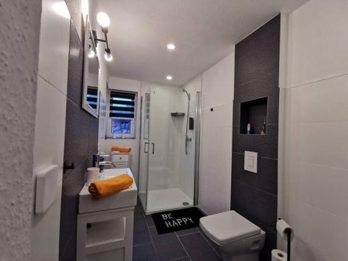 a bathroom with a shower and a toilet and a sink at Altstadt-Apartment & FeWo EG für max 3 Pers in Neuhaldensleben