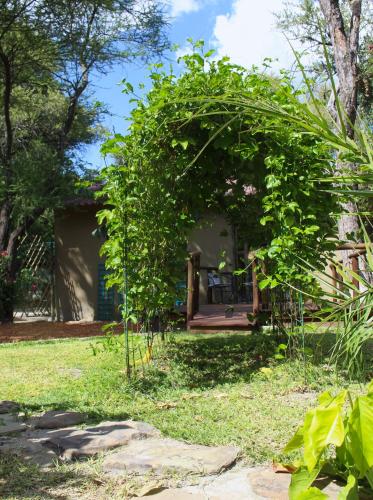 Zahrada ubytování Acacia Cottage