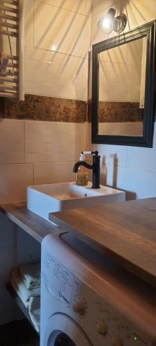 a bathroom with a sink and a washing machine at Chez Franck in Saint-Martin-de-Valgalgues