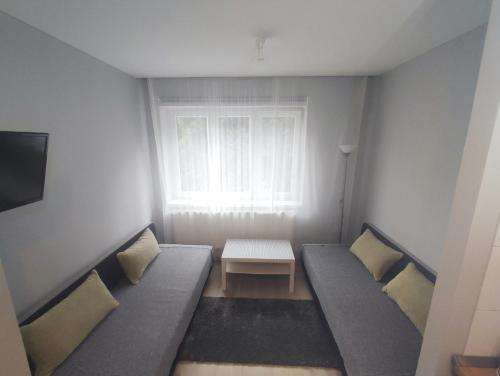 a small room with two beds and a window at Alisa Apartments in Kostomlaty