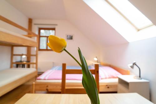 a yellow flower in a vase on a table in a room at Penzion U hájovny u pískoven - Vlkov in Vlkov