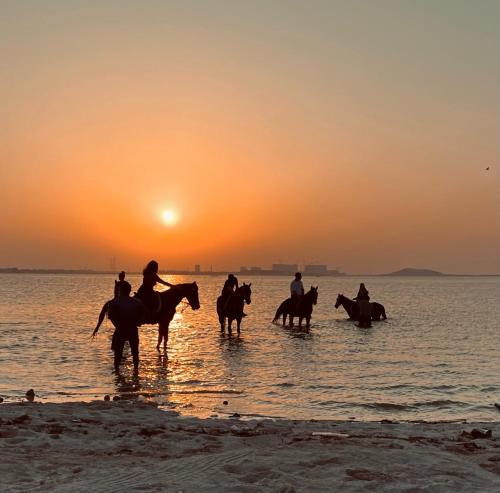 a group of people riding horses on the beach at sunset at Luxury holiday villas in Bahrain for Families in Bārbār