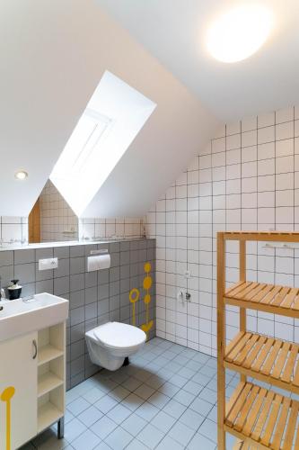 a bathroom with a toilet and a skylight at Penzion U hájovny u pískoven - Vlkov in Vlkov
