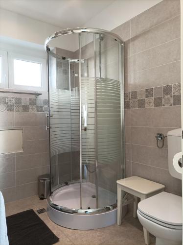 a bathroom with a shower and a toilet at Apartman Pećine in Rijeka