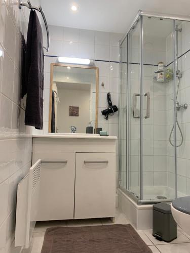 une salle de bain avec une douche, un lavabo et des toilettes dans l'établissement Duplex Raphael- Wi-fi et parking privé, à Toulon