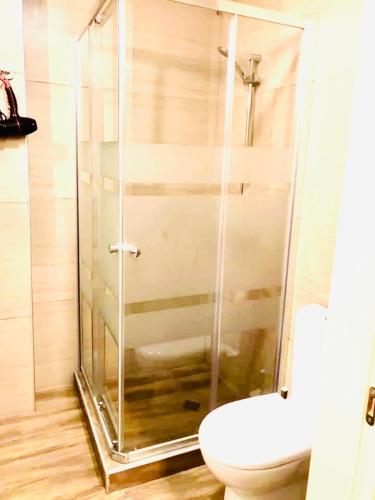 a bathroom with a toilet and a glass shower at Park residence in Bakuriani