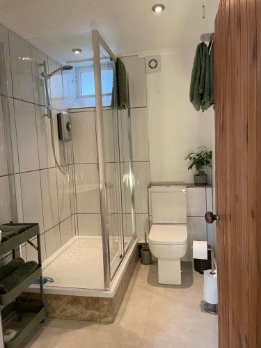 a bathroom with a shower and a toilet at Coachmans Cottage in Aberlour