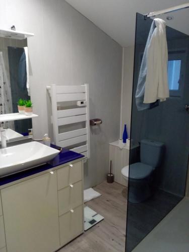 une salle de bain avec une douche, un lavabo et des toilettes dans l'établissement Au p'tit bonheur, à Saint-Rambert-dʼAlbon