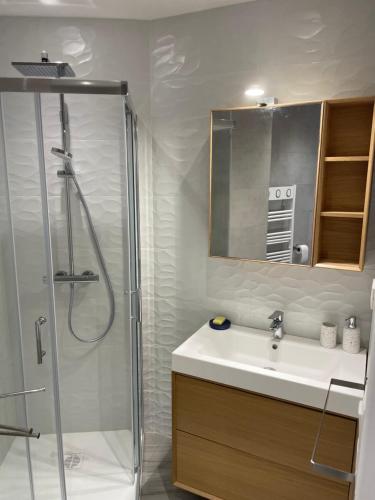 La salle de bains est pourvue d'une douche, d'un lavabo et d'un miroir. dans l'établissement Appt T2 refait à neuf - vue mer dans résidence avec piscine, à Mandelieu-la-Napoule