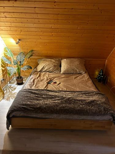Posto letto in camera con parete in legno. di Dom Małe Mazury 
