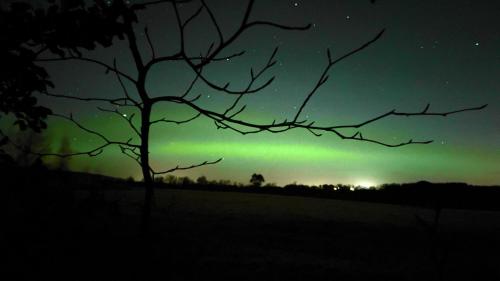 an aurora in the sky over a field with a tree at Old Tavern House in Fortrose
