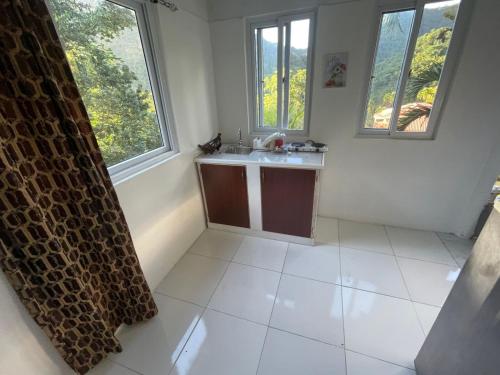 a bathroom with a sink and two windows at Zaboca apartment in Roseau